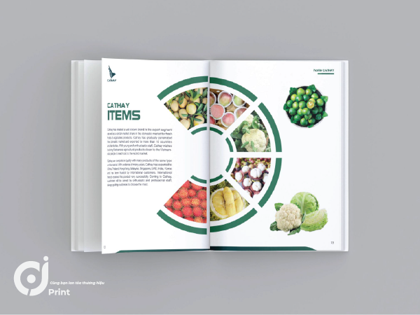 in catalogue giá tốt tại ci print